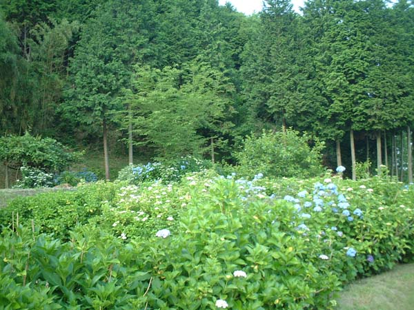 2002_0615_182707AA