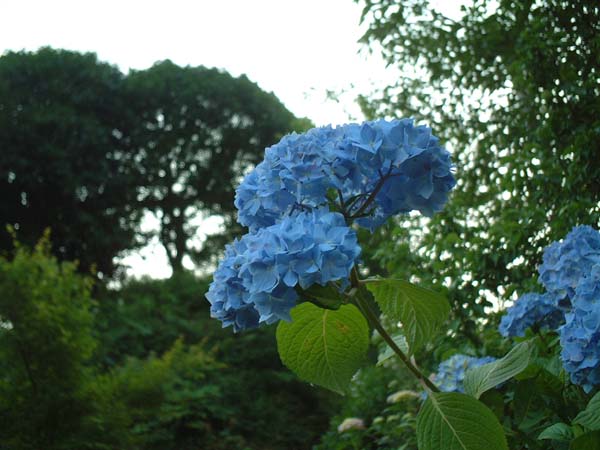 2002_0615_182908AA