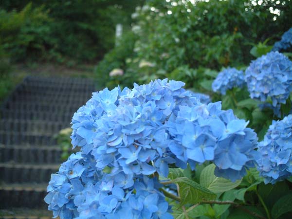 2002_0615_182916AA