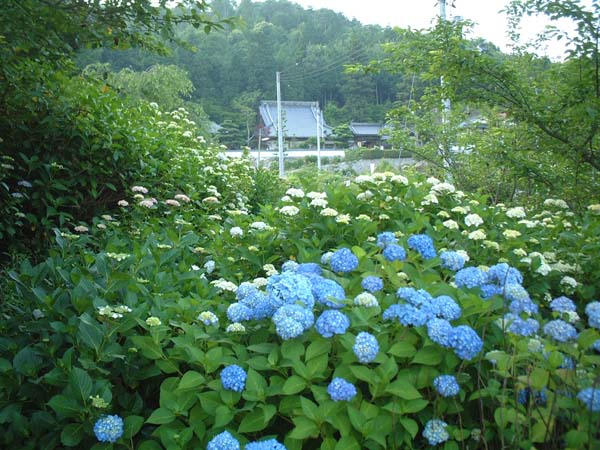 2002_0615_183020AA