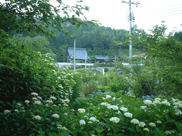 2002_0615_183034AA