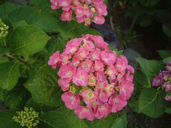 2002_0615_183546AA