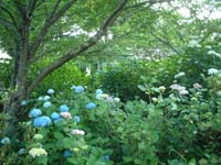 2002_0615_183129AA