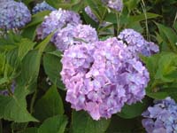 2002_0615_183424AA