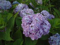2002_0615_183434AA