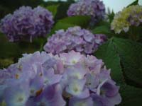 2002_0615_183513AA