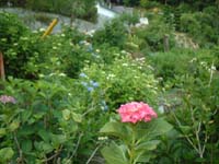 2002_0615_183558AA